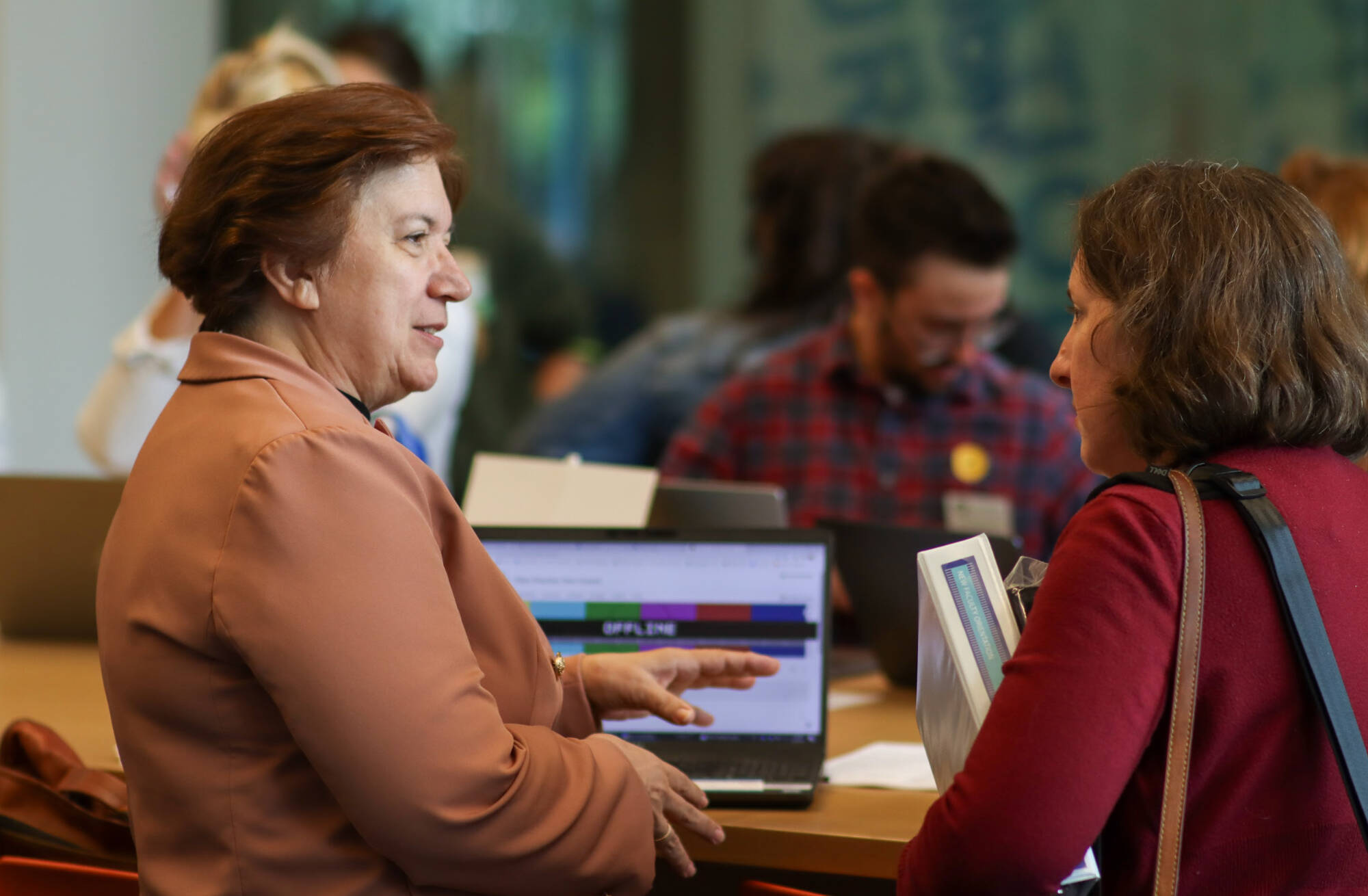 Barbara Stevens discusses accessibility with a colleague, gesturing toward a laptop screen displaying a color-coded chart at a workshop.